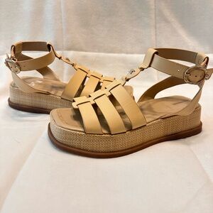 Sam Edelman Naima Gladiator sandal size 6.5
